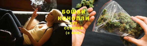 ПСИЛОЦИБИНОВЫЕ ГРИБЫ Арсеньев