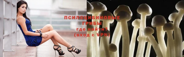 ПСИЛОЦИБИНОВЫЕ ГРИБЫ Арсеньев