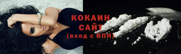 ПСИЛОЦИБИНОВЫЕ ГРИБЫ Арсеньев
