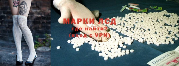 ПСИЛОЦИБИНОВЫЕ ГРИБЫ Арсеньев